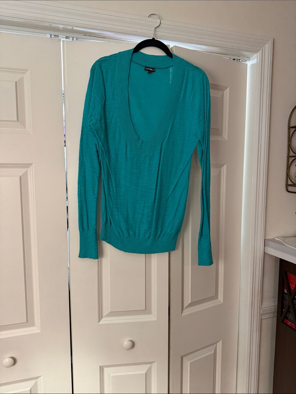 Express Teal Long-Sleeve Deep V-Neck Sweater